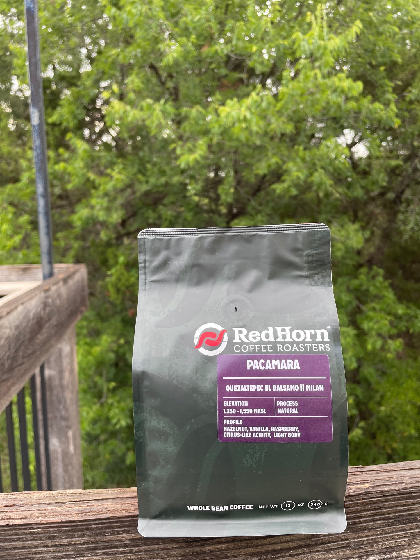 El Salvador - Pacamara